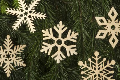 Schneeflöckchen, Weißröckchen
