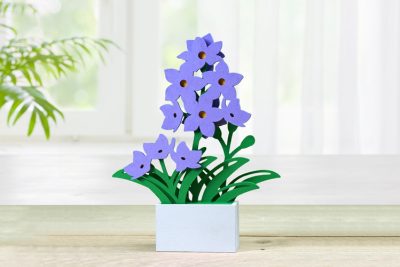 Frühlingsblüher